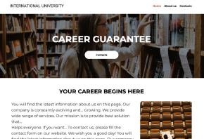 international university international university