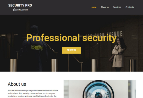 security pro security pro