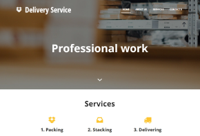 delivery service delivery service